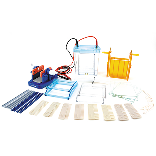 北京六一雙垂直電泳儀電泳槽(中號(hào))DYCZ-24EN蛋白凝膠電泳及雙向電泳