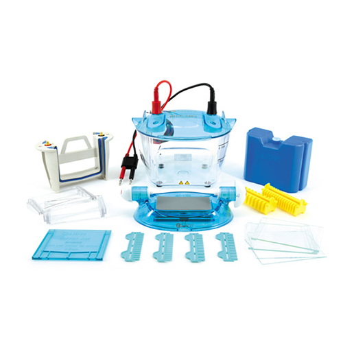 北京六一DYCZ-24KS型雙板垂直電泳儀【標(biāo)準(zhǔn)版】