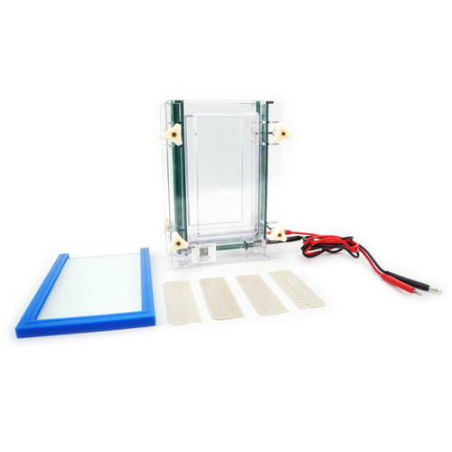 北京六一DYCZ-28D雙板夾芯式垂直電泳儀電泳槽(大號(hào)) 蛋白凝膠電泳