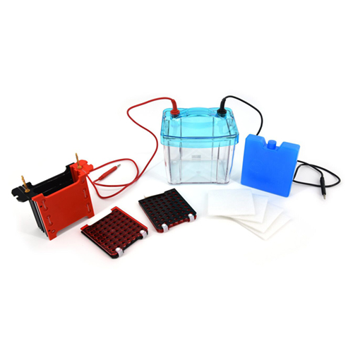 北京六一DYCZ-40G型轉(zhuǎn)印電泳儀電泳槽 高透明度聚碳酸酯注塑成型