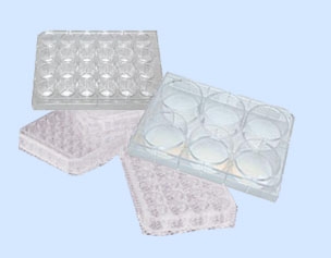 北京六一細胞培養(yǎng)板WD-2107