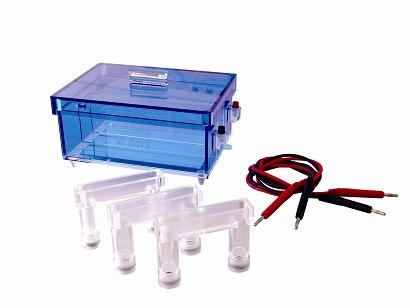 北京六一蛋白質回收電泳儀DYCP-43（停產）